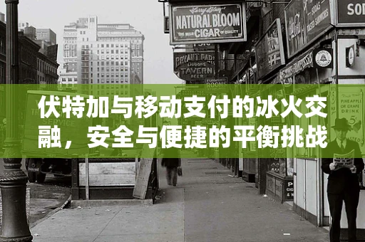 伏特加与移动支付的冰火交融，安全与便捷的平衡挑战