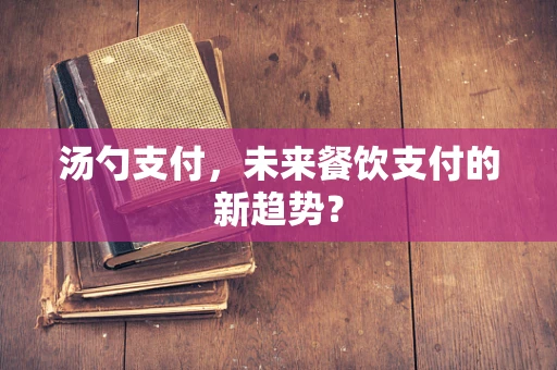 汤勺支付，未来餐饮支付的新趋势？