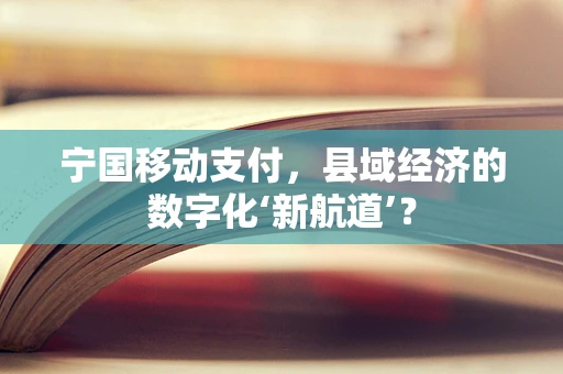 宁国移动支付，县域经济的数字化‘新航道’？