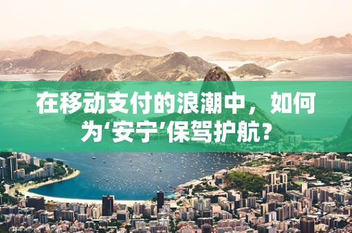 在移动支付的浪潮中，如何为‘安宁’保驾护航？