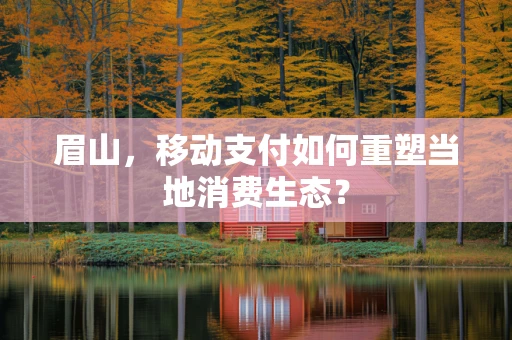 眉山，移动支付如何重塑当地消费生态？