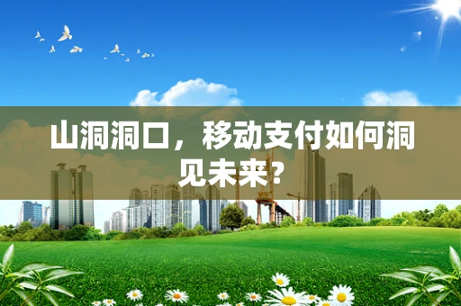 山洞洞口，移动支付如何洞见未来？