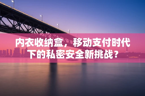 内衣收纳盒，移动支付时代下的私密安全新挑战？