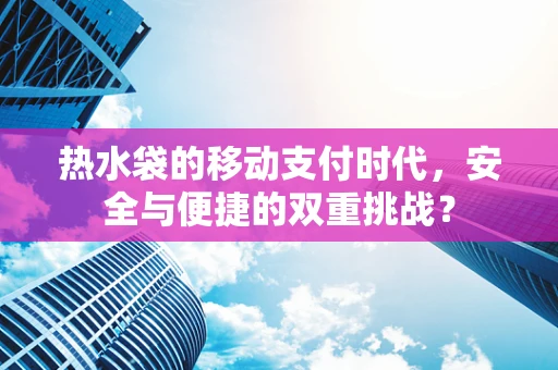 热水袋的移动支付时代，安全与便捷的双重挑战？