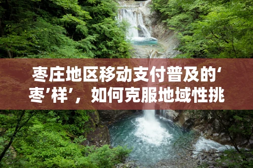 枣庄地区移动支付普及的‘枣’样’，如何克服地域性挑战？