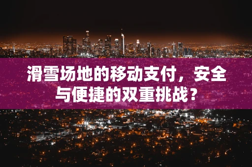 滑雪场地的移动支付，安全与便捷的双重挑战？